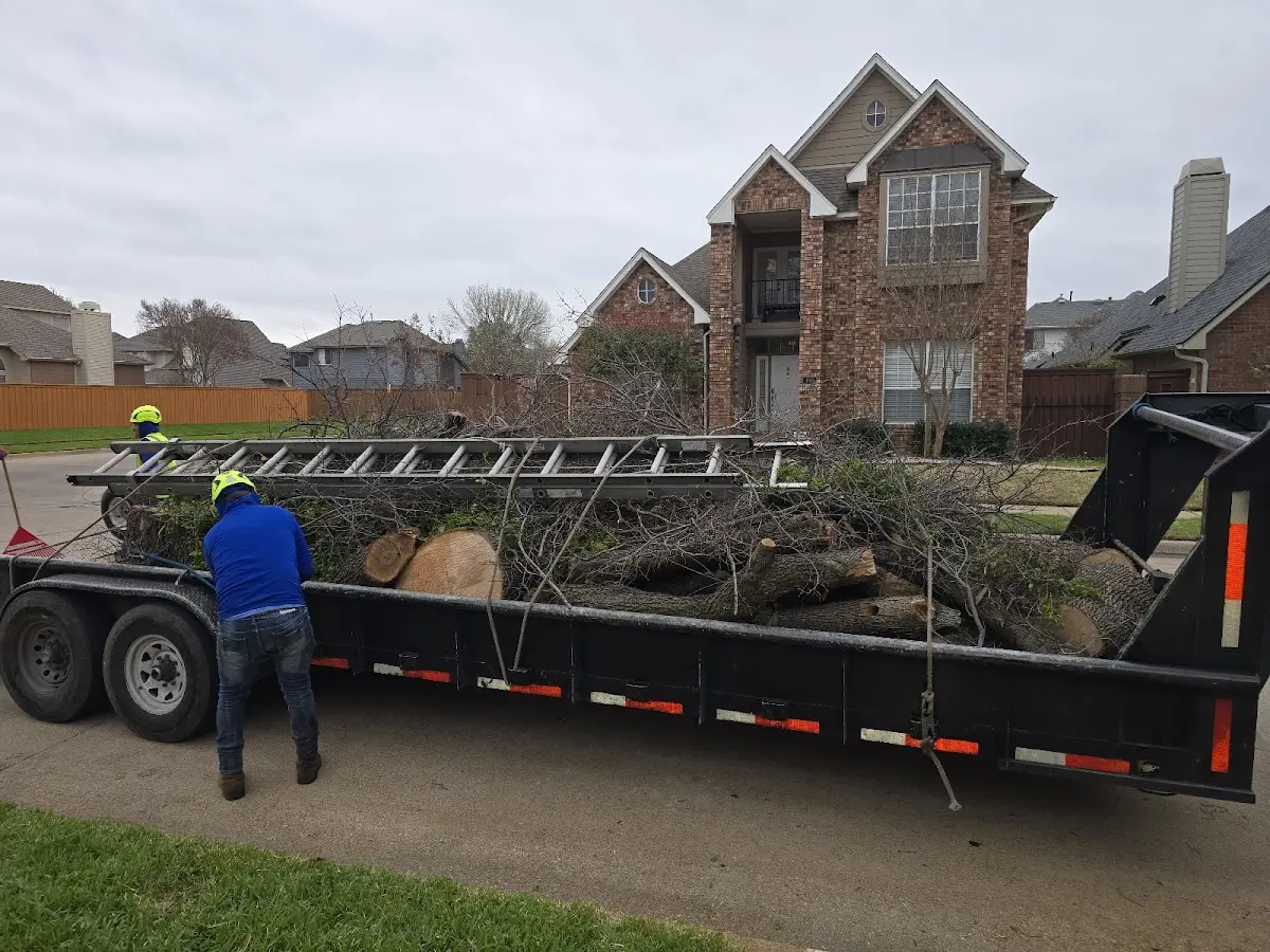 Expert Tree Fertilization with proper safety equipment in Centreville